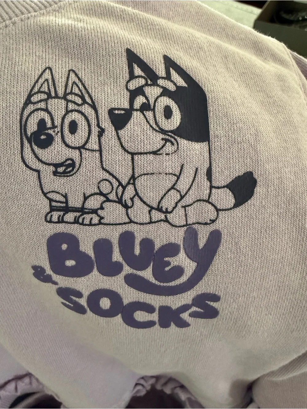 Bluey and Socks